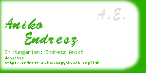 aniko endresz business card